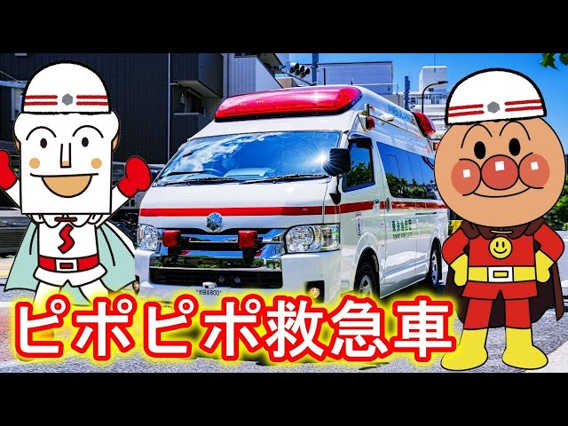 ピポピポ救急車【こどものうた】アンパンマンと童謡を歌おう