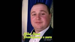 Mihai Bejan - Domnişoara e o seara