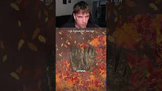 что скрывают листья