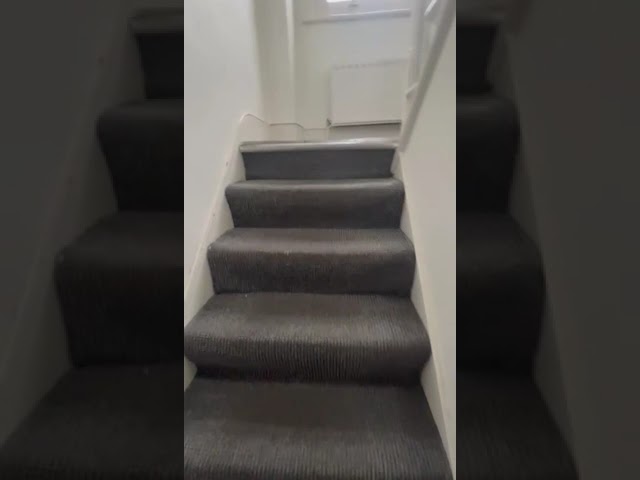 Video 1: