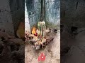 Bamboo Hack! Stop Chickens Wasting & Fighting Over Food