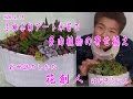 お世話のしかた【ギャザリング水苔で多肉植物の寄せ植え】お世話のしかた/花創人はなそうにん岐阜愛知寄せ植えハンギングバスケット教室