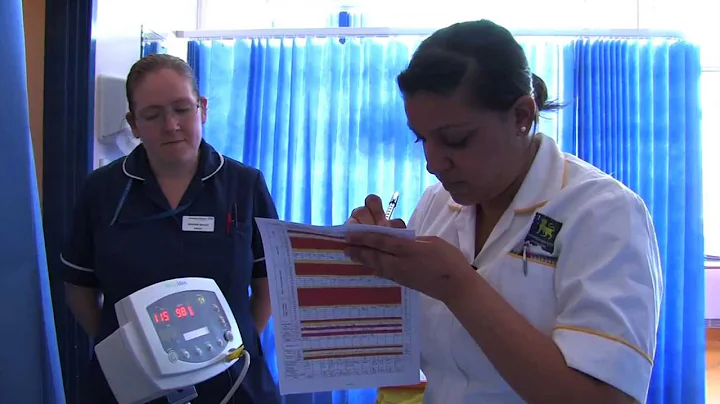 The Placement Experience - Midwifery