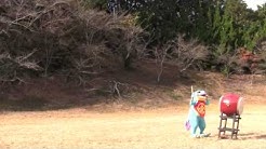 21centuryfrogs Youtube 21centuryfrogs Youtube