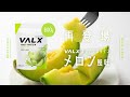 【待望の復活】VALXホエイプロテイン メロン風味