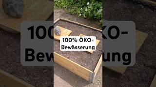 100% ÖKO-Bewässerung