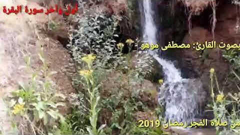 أول وآخر سورة البقرة - مصطفى موهو قراءة من صلاة الفجر رمضان 2019