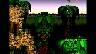 Donkey Kong Country Corruptions #1