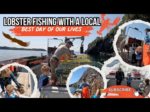 🎣  Lobster Fishing in Newfoundland - We Joined the Local Fisherman for a Day at Sea! 🌊🦞