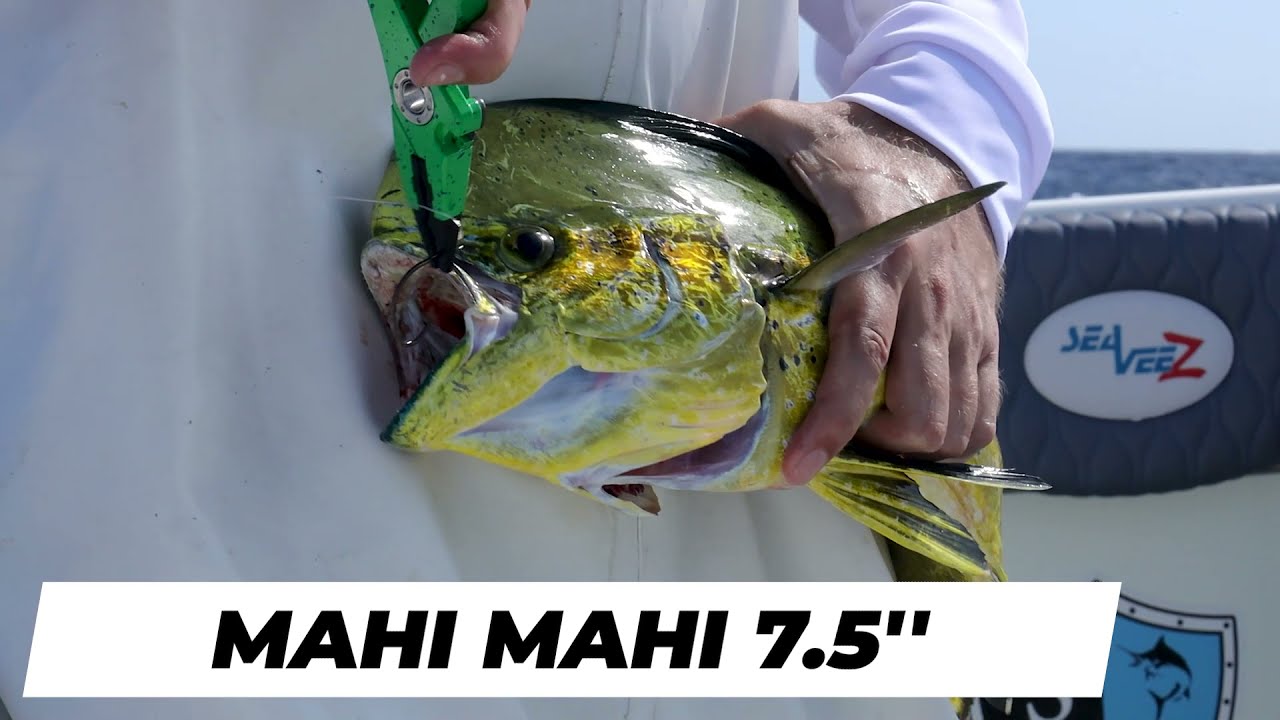 danco sports Mahi Mahi Aluminum Pliers