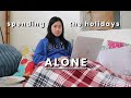 HOME ALONE for the holidays