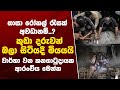 ගාසා තීරයේ රෝහල් රැසක් අවධානම්
