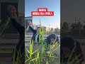 地球を偵察に来た宇宙人 #tiktok #shorts