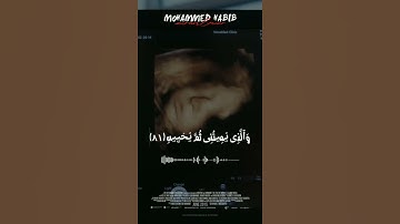 (الَّذِي خَلَقَنِي فَهُوَ يَهْدِينِ )القاري رعد الكردي||حالات واتس||قرآن كريم