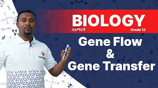 Gene Flow, Gene Transfer, Immigration &amp; Emigration in Evolution | GRADE 12 BIOLOGY | New Curriculum