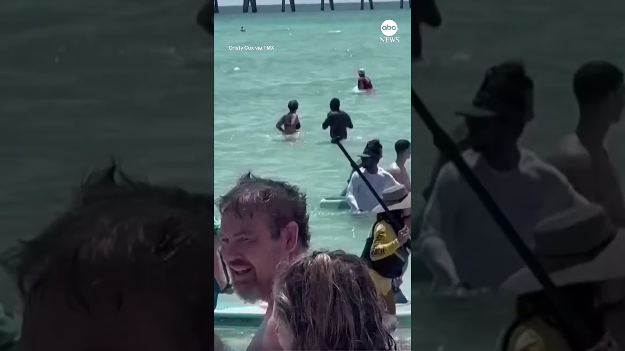 Shark Surprises 4th of July Beachgoers in the Florida Panhandle |  ABC News