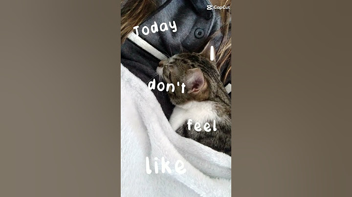 today I don't feel like doing anything