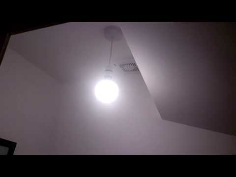 G95 Bayonet LED Luna bulb