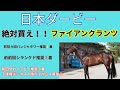 [ダービー] 絶対買え！！穴馬　ファイアンクランツ
