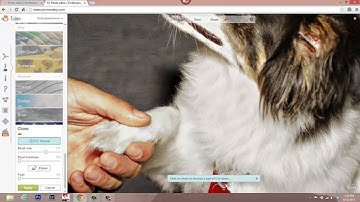 How to Fix Your Flash Photo - PicMonkey Tutorial
