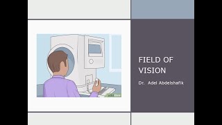 Visual field updated :  7/8 Glaucoma Hemifield Test and Bebei curve