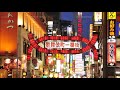 東京シティ・セレナーデ 前川清&川中美幸 カバー たまちゃん &かさちゃん