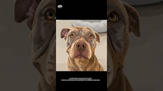 Photo to Pet Portrait Transformation 🐾🎨 | Custom Vector Art Timelapse