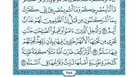 تلاوة سورة إبراهيم من الآية 24 إلى الآية 27