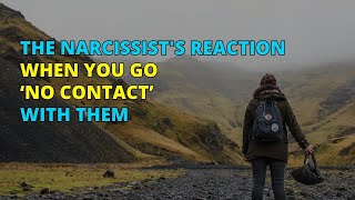 The Narcissist's Reaction When You Go ‘No Contact’ With Them | Narc Pedia | NPD