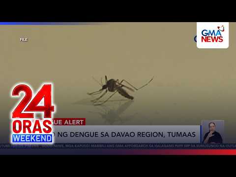 Kaso ng dengue sa Davao Region, tumaas | 24 Oras Weekend