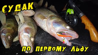 видео: Этот ВИБ Косит СУДАКА там, где НИКТО НЕ ЛОВИТ!! Как найти Судака? Первый лëд 2023-24. Судак на вибы! картинка: Этот ВИБ Косит СУДАКА там, где НИКТО НЕ ЛОВИТ!! Как найти Судака? Первый лëд 2023-24. Судак на вибы!