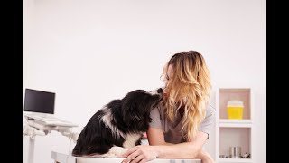 : Malattie che il cane pu`o trasmettere all'uomo: quali sono e cosa fare