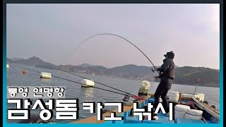 감성돔 카고 낚시 / 확률 높은 낚시 이지만...꽝을 칠 수 있는 낚시!