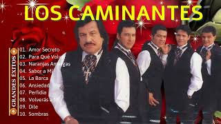 Los Caminantes 2024 Mix Exitos ~ Álbum Completo Románticas ~ Los Caminantes 25 Grandes Éxitos 2024