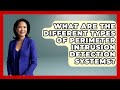 Types of Perimeter Intrusion Detection Systems 🛡️
