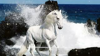 Horse Ringtone 2022 || #New #Tranding Watsapp Status Ringtone  Hindi ringtone #horse_ringtone screenshot 4