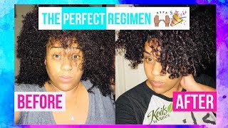 The Perfect Regimen for Dry, Frizzy, Low Porosity Hair featuring Koils By Nature