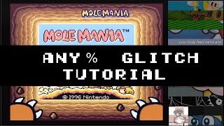 Famous [Updated] Mole Mania - Any% Wrong Warp Glitch Tutorial Wealth