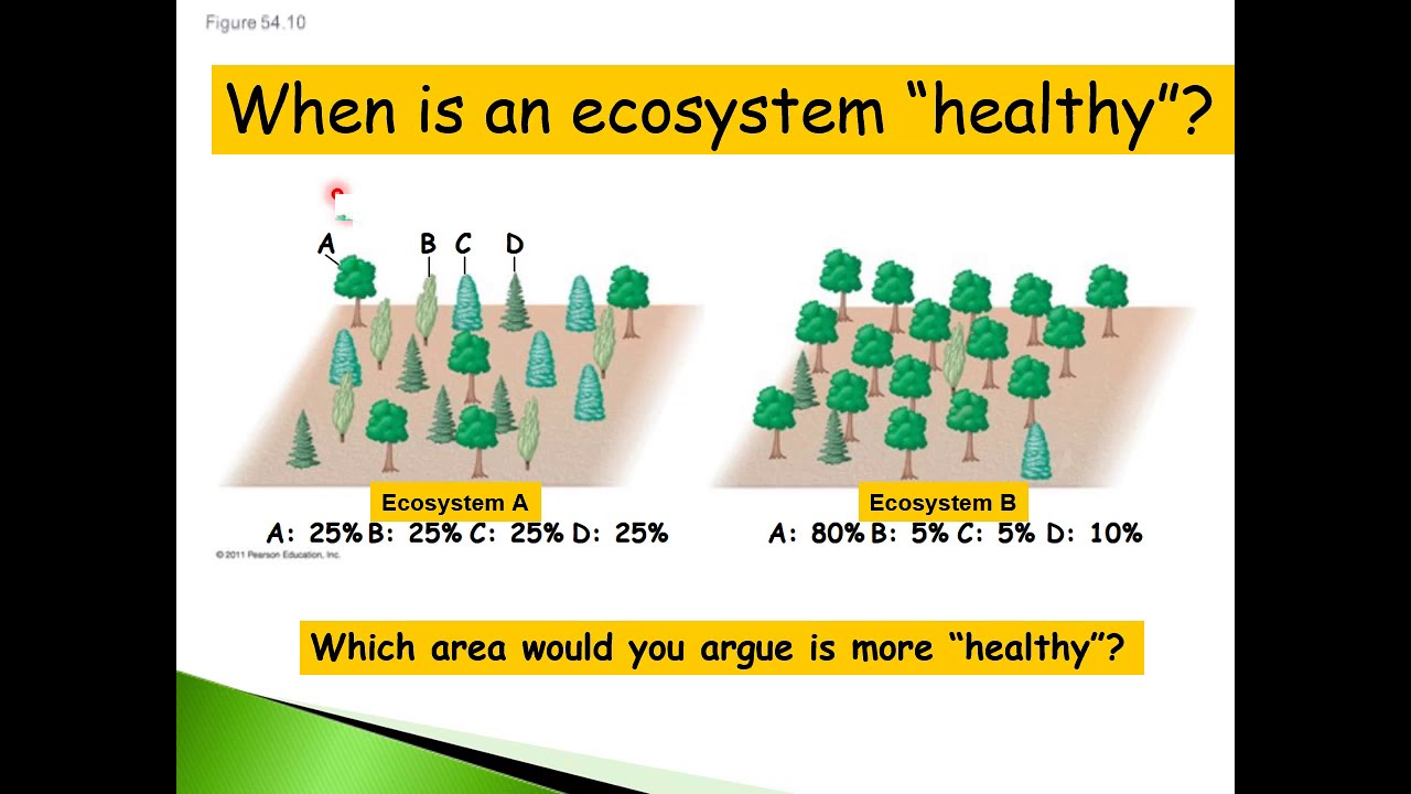 Keystone Species - YouTube