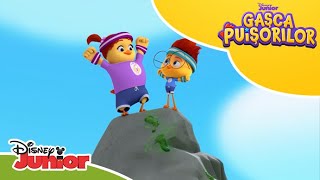 🐿️ Marele test | Gașca Puișorilor | Disney Junior România