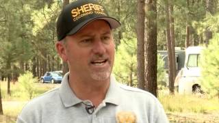 FBI joins manhunt for arson suspect