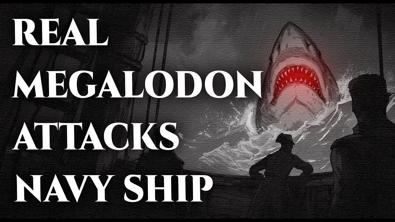 Navy Research Crew Encounters a Real Megalodon in the Bermuda Triangle ...