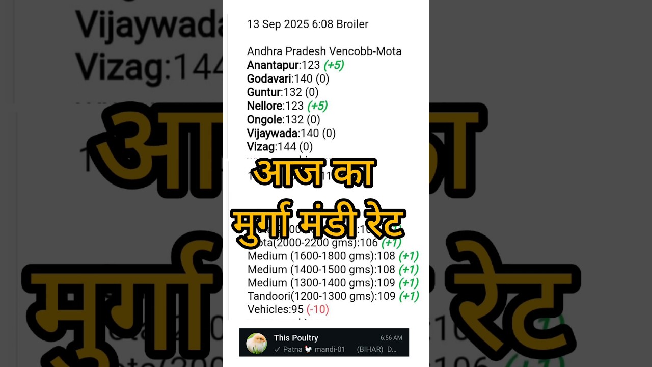 Aaj ka murga mandi rate 