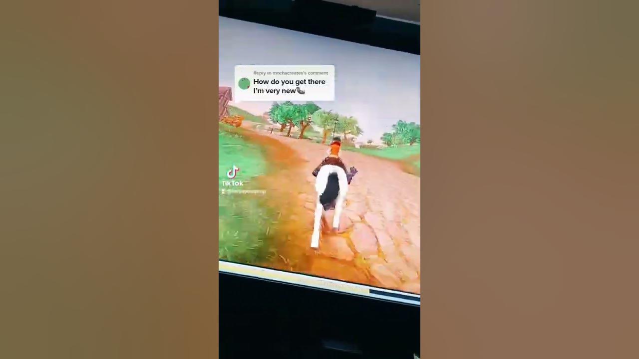 ferdinands horse market - YouTube