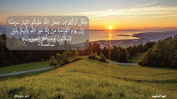 سورة القصص 71 إلى 73(قل أرأيتم إن جعل الله عليكم الليل سرمدا)ش.مصطفى خميس