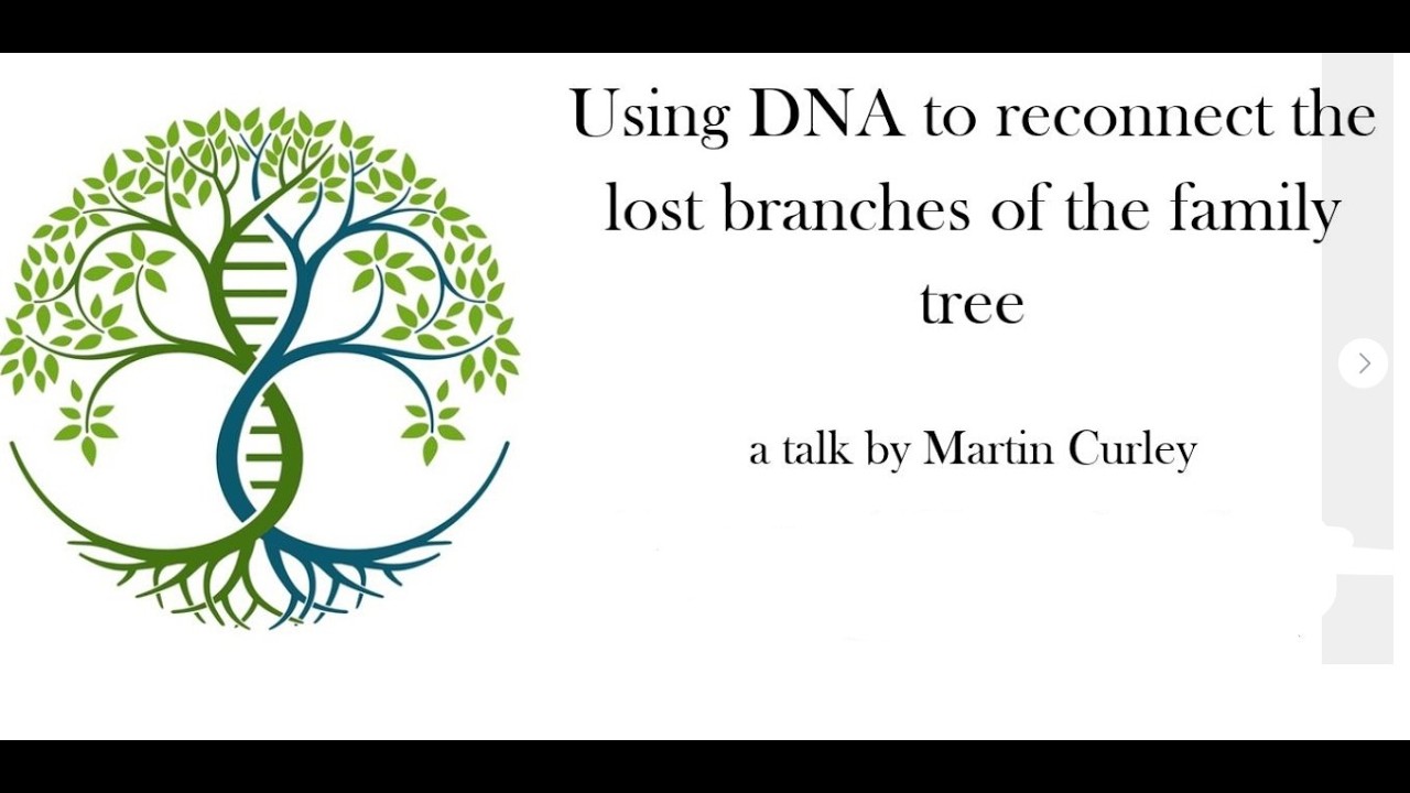 Using DNA to Reconnect the Lost Branches of the Family Tree