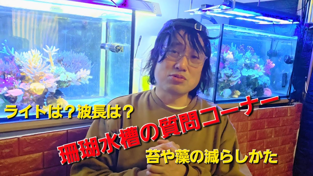 2025年に多かった珊瑚飼育のQ&Aのコーナー。藻や苔の対策。波長やライトについて。