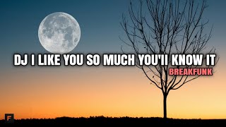 DJ BREAKFUNK I LIKE YOU SO MUCH YOU'II KNOW IT FEONCE FVNKY RMX