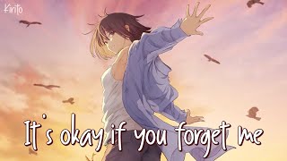 Nightcore - It's Ok If You Forget Me (Astrid S) - (Lyrics)