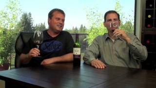 Sutter Home Zinfadel 2010 - Two Thumbs Up Wine